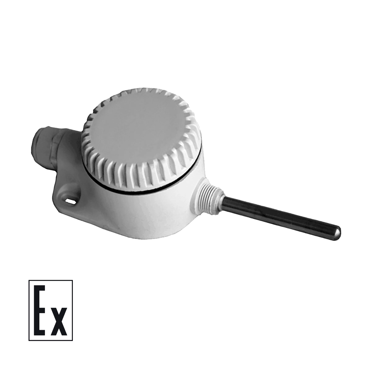 ДТС125Л-РТ100.В4.60.МГ.ЕХI-Т6 настенные датчики температуры EXIA